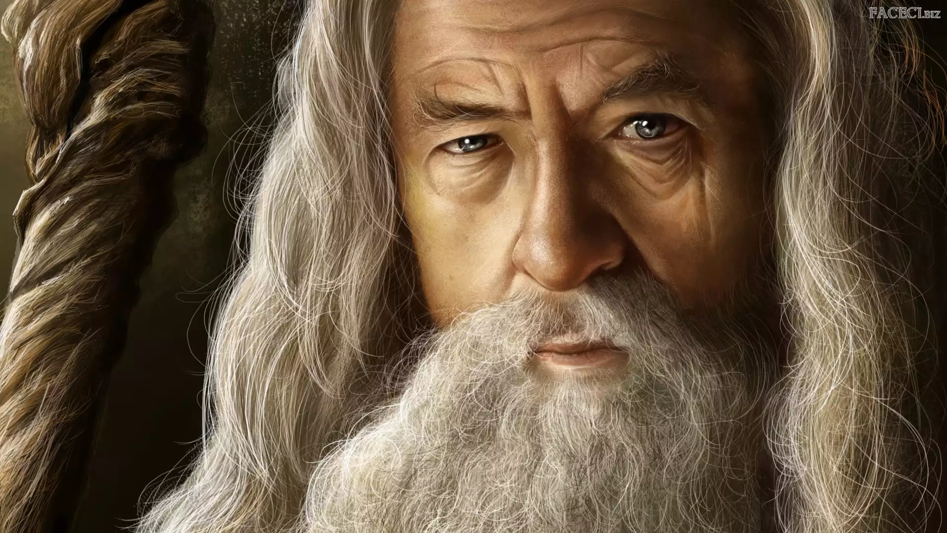 Gandalf, Ian Murray McKellen, Aktor
