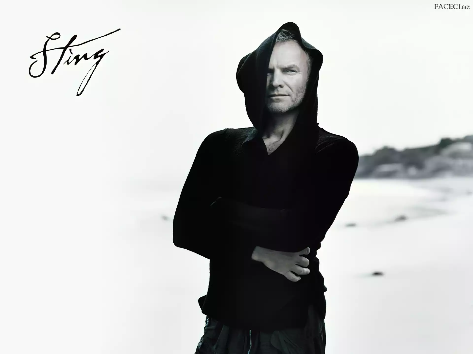 Kaptur, Sting